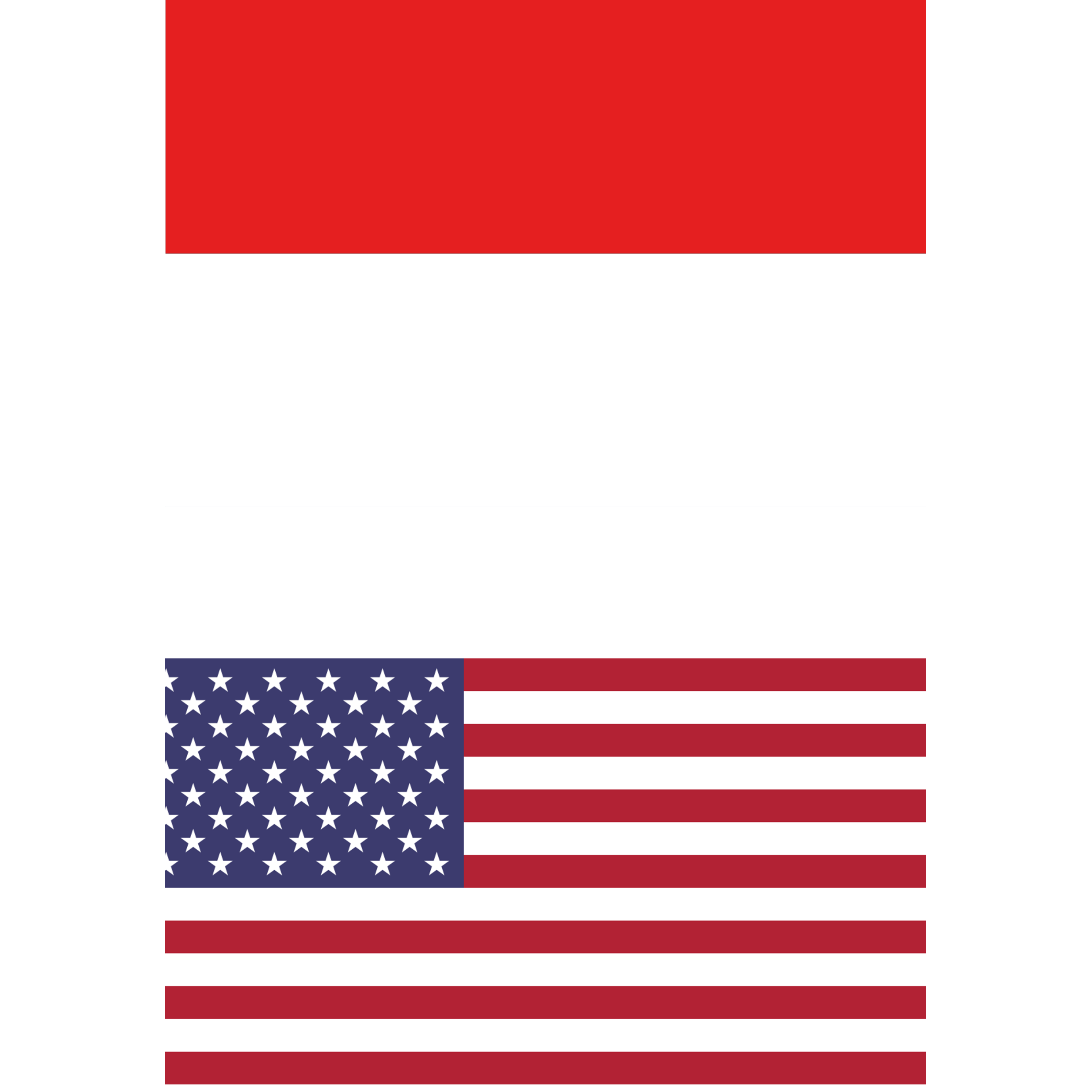 Language